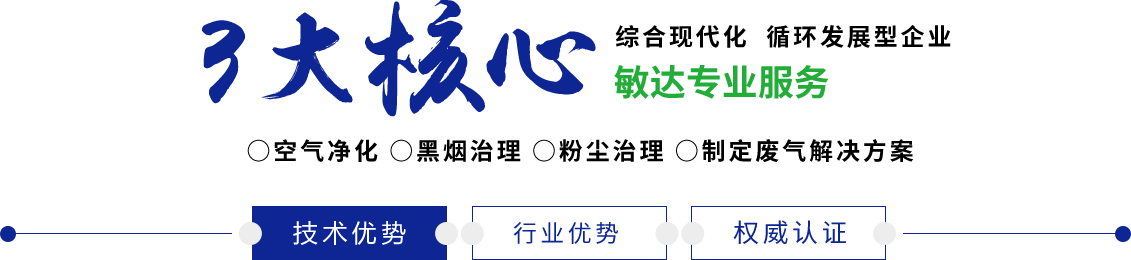 男人大鸡鸡透女人敏达环保科技（嘉兴）有限公司